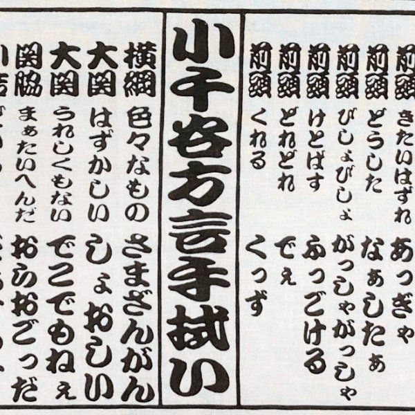 画像1: 方言てぬぐい (1)