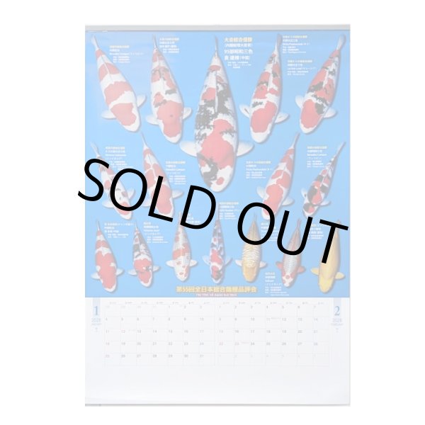 画像1: 錦鯉カレンダー2026　バラエティ (1)