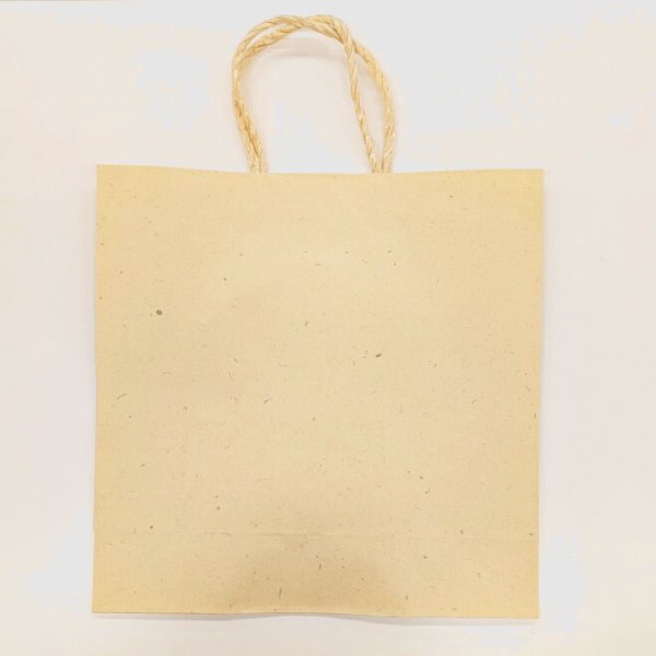 画像1: 紙袋（中） (1)