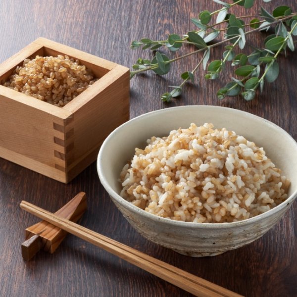 画像2: 発芽玄米ごはん　10パック (2)