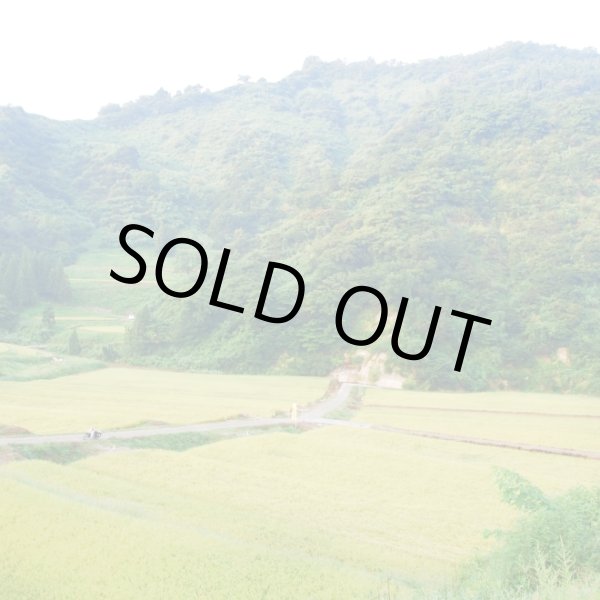 画像4: 令和７年産【アスカ冬井】冬井のかがやき米（精米）５kg (4)