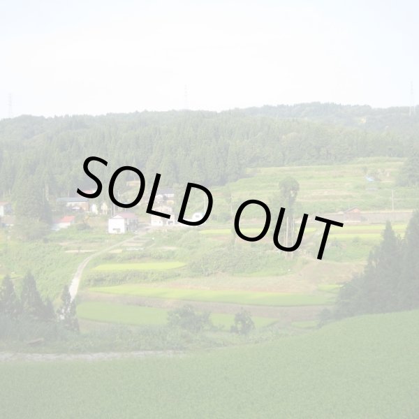 画像5: 令和７年産【アスカ冬井】冬井のかがやき米（精米）５kg (5)