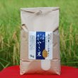画像2: 令和７年産【アスカ冬井】冬井のかがやき米（精米）５kg (2)