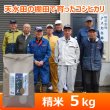 画像1: 令和７年産【アスカ冬井】冬井のかがやき米（精米）５kg (1)