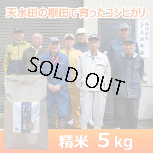 画像1: 令和７年産【アスカ冬井】冬井のかがやき米（精米）５kg (1)