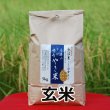 画像2: 令和７年産【アスカ冬井】冬井のかがやき米（玄米）５kg (2)