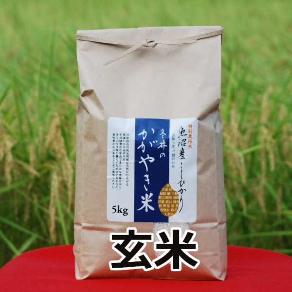 画像2: 令和８年産【アスカ冬井】冬井のかがやき米（玄米）５kg (2)