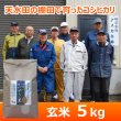 画像1: 令和７年産【アスカ冬井】冬井のかがやき米（玄米）５kg (1)