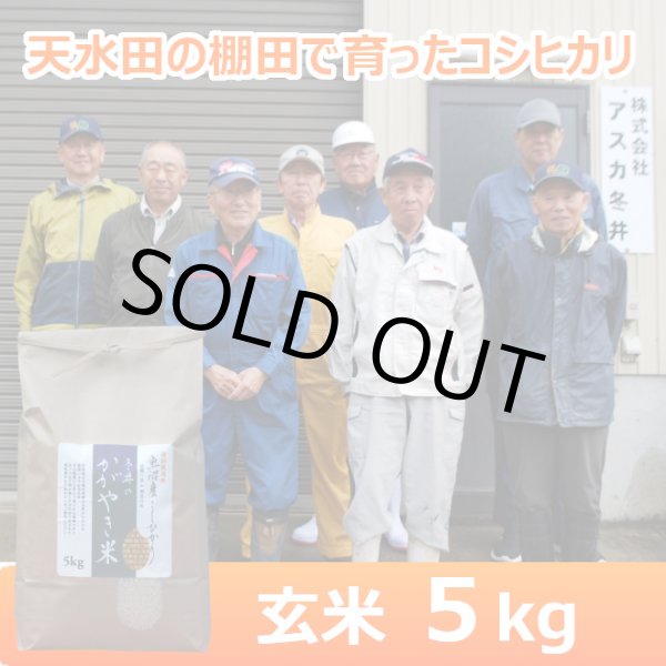 画像1: 令和７年産【アスカ冬井】冬井のかがやき米（玄米）５kg (1)