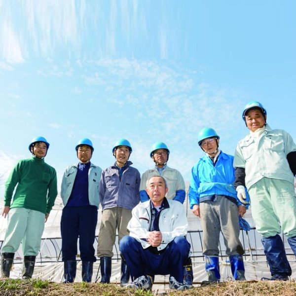 画像3: 令和７年産【うちがまき絆】特別栽培米 伊乎乃（玄米）５kg (3)