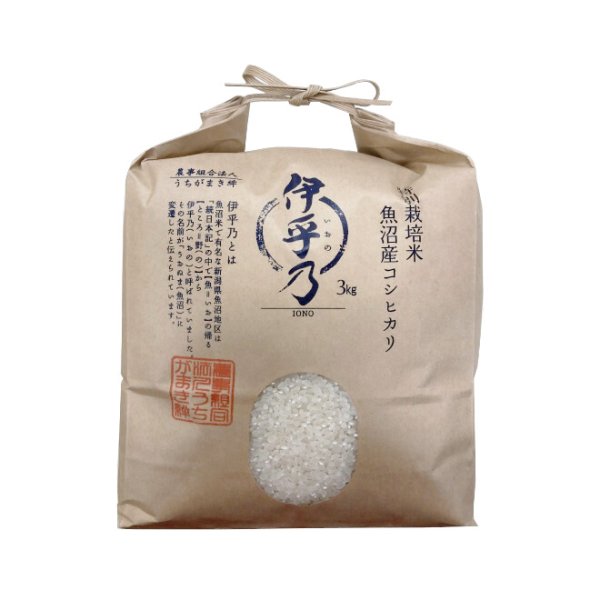 画像2: 令和７年産【うちがまき絆】特別栽培米 伊乎乃（精米）３kg (2)