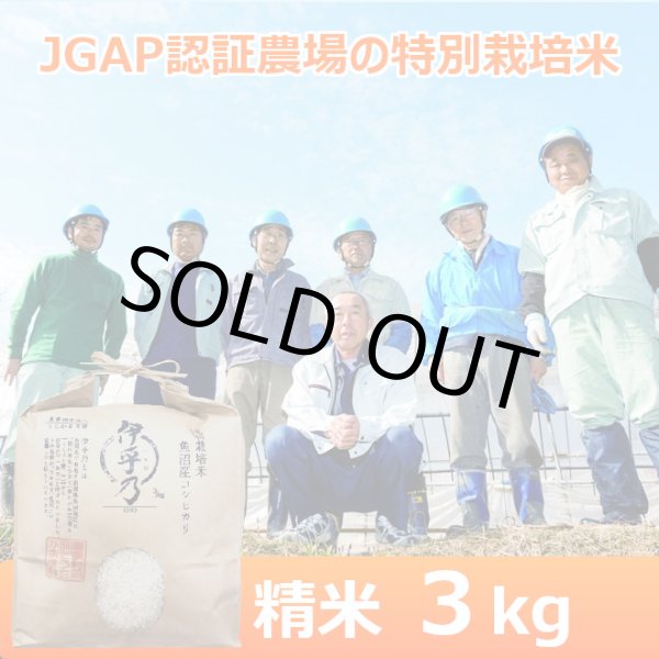 画像1: 【うちがまき絆】特別栽培米 伊乎乃（精米）３kg (1)