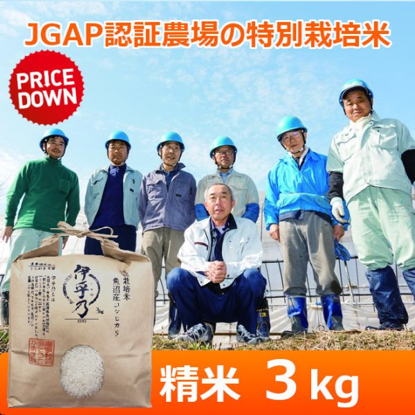 画像1: 数量限定!!【うちがまき絆】特別栽培米 伊乎乃（精米）３kg (1)