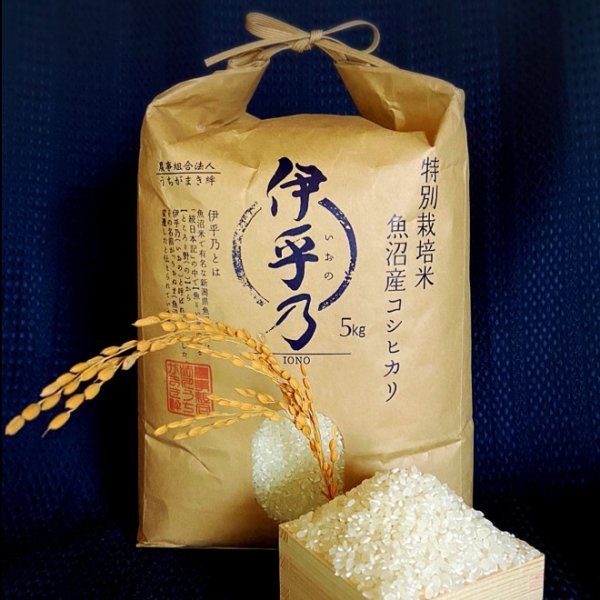 画像3: 【定期購入】うちがまき絆　特別栽培米　伊乎乃　４回毎月お届けコース (3)