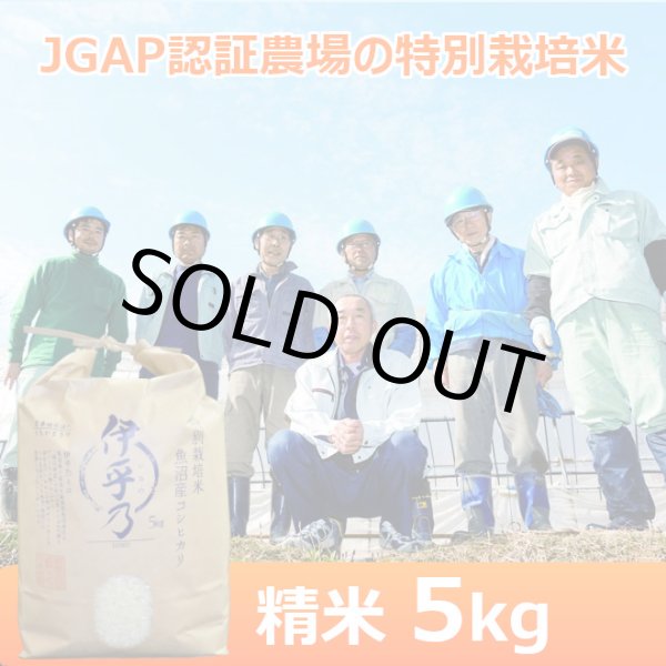 画像1: 【うちがまき絆】特別栽培米 伊乎乃（精米）５kg (1)