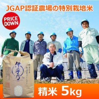 うちがまき絆】特別栽培米 伊乎乃（精米）5kg｜新潟土産、お取り寄せ
