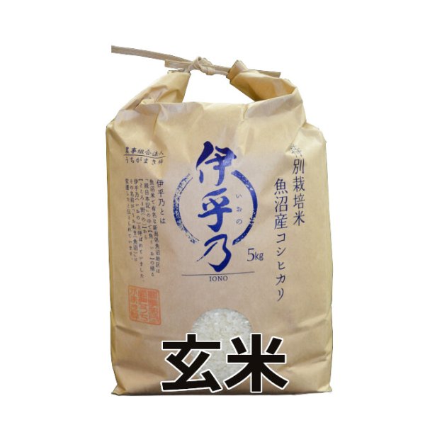 画像2: 令和７年産【うちがまき絆】特別栽培米 伊乎乃（玄米）５kg (2)