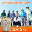 画像1: 令和７年産【うちがまき絆】特別栽培米 伊乎乃（玄米）５kg (1)