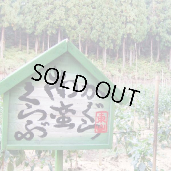 画像3: かぐら南蛮みそ (3)