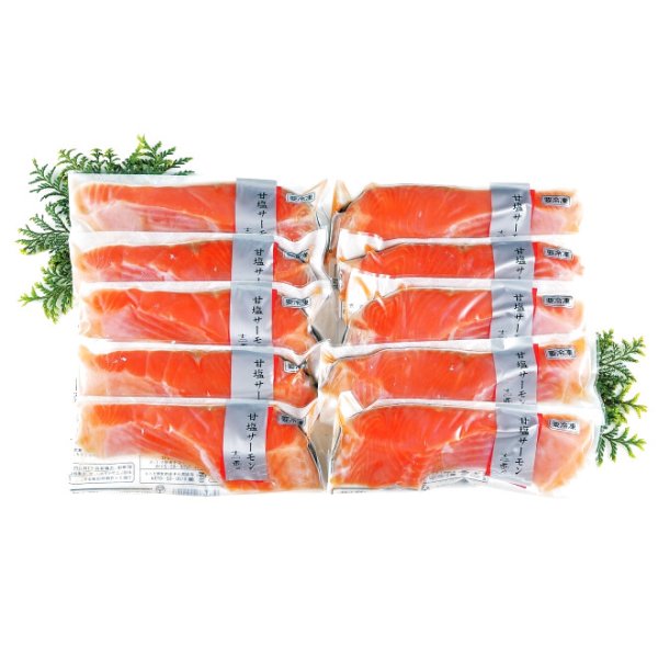 画像1: 鮭づくし (1)