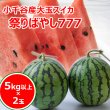 画像1: 小千谷産大玉スイカ「祭りばやし777 (スリーセブン)」２玉箱入り (1)
