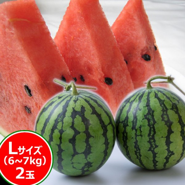 画像1: 小千谷産大玉スイカ「祭りばやし777 (スリーセブン)」２玉箱入り (1)