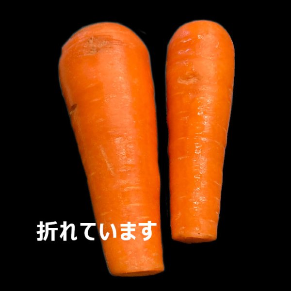 画像4: 【訳あり】雪中にんじん　５kg (4)