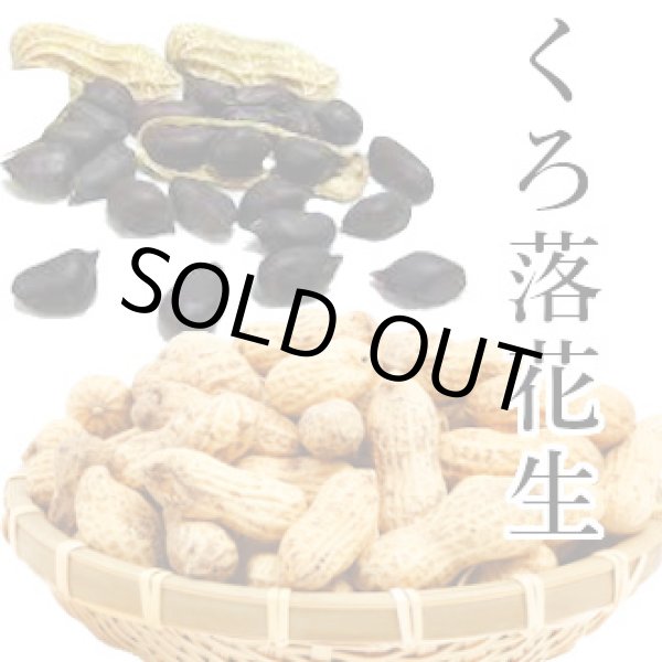 画像1: とまちゃんの くろ落花生 (1)