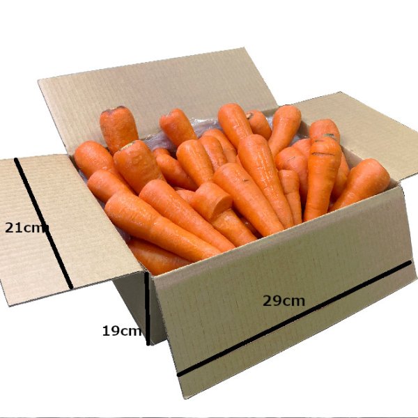 画像2: 【訳あり】雪中にんじん　５kg (2)