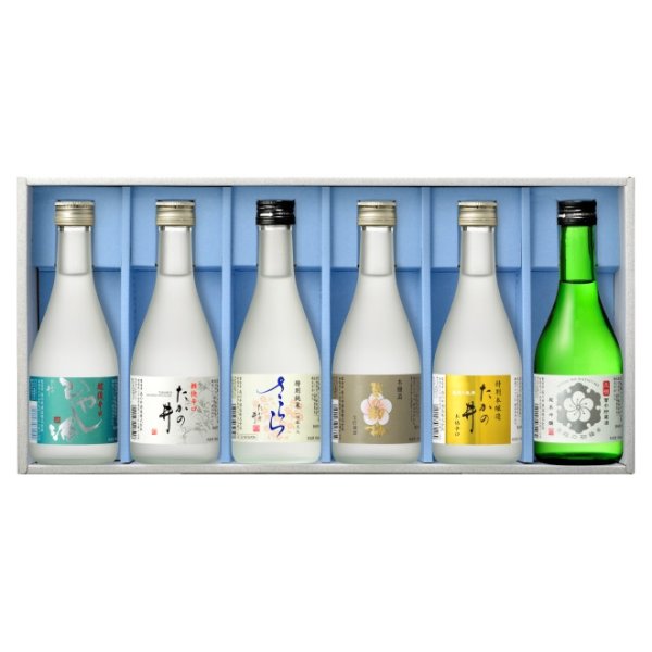 画像1: 日本酒飲み比べ6本セット 300ml×6本 TTS-306 (1)