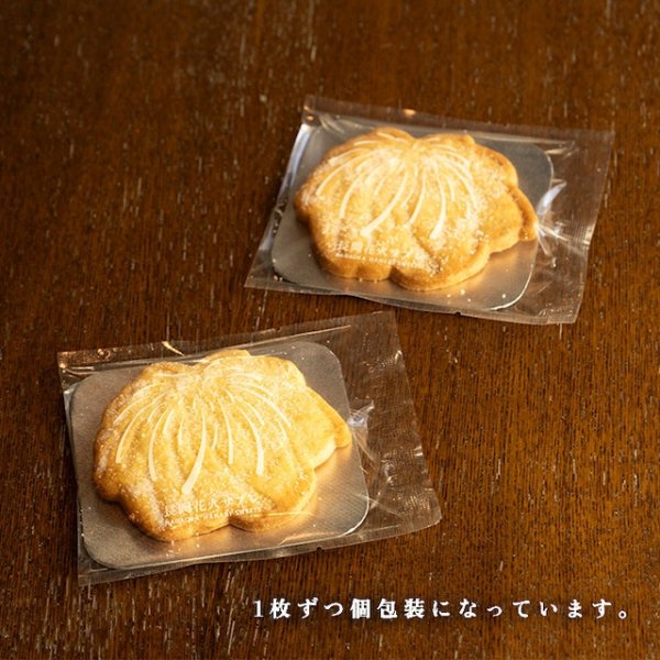 画像3: 越後花火サブレ　８枚箱入り (3)