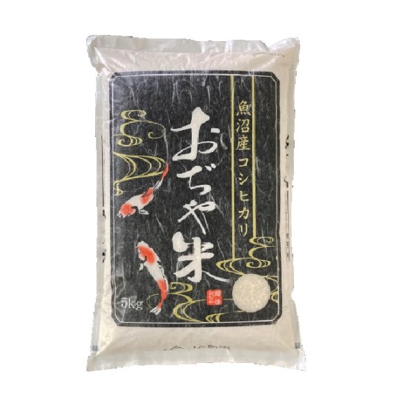 画像1: 令和６年産　魚沼産コシヒカリ 5kg (1)