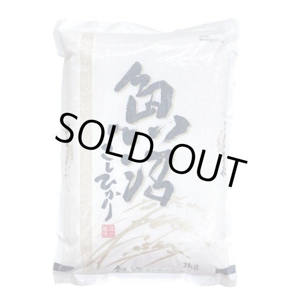 画像1: 令和６年産　魚沼産コシヒカリ 2kg (1)