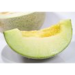 画像1: 小千谷産メロン「キスロマン」２玉箱入り (1)