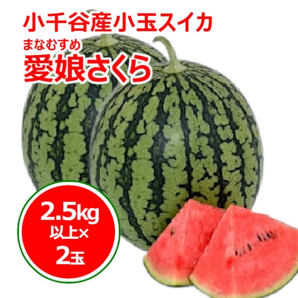 画像1: 小千谷産小玉スイカ「愛娘さくら」２玉箱入り (1)