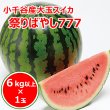 画像1: 小千谷産大玉スイカ「祭りばやし777 (スリーセブン)」１玉箱入り (1)