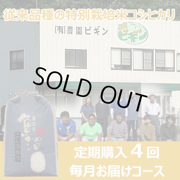 画像1: 【定期購入】農園ビギン 特別栽培米 従来品種 4回毎月お届けコース (1)