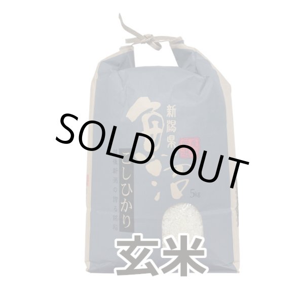 画像2: 令和７年産【農園ビギン】特別栽培米　従来品種（玄米）5kg (2)