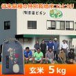 画像1: 令和７年産【農園ビギン】特別栽培米　従来品種（玄米）5kg (1)