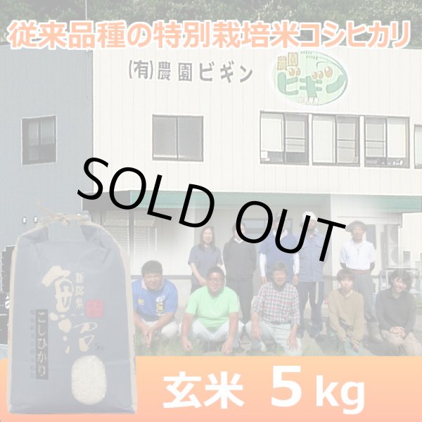 画像1: 令和７年産【農園ビギン】特別栽培米　従来品種（玄米）5kg (1)