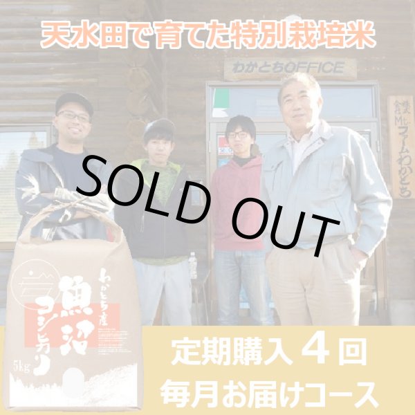 画像1: 【定期購入】Mt.ファームわかとち　わかとち産　特別栽培棚田米　４回毎月お届けコース (1)