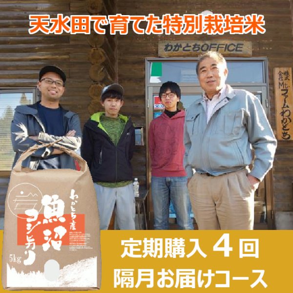 画像1: 【定期購入】Mt.ファームわかとち　わかとち産　特別栽培棚田米　４回隔月お届けコース (1)