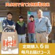 画像1: 【定期購入】Mt.ファームわかとち　わかとち産　特別栽培棚田米　６回毎月お届けコース (1)