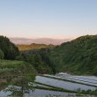 画像3: 【Mt.ファームわかとち】わかとち産　特別栽培棚田米（精米）5kg (3)