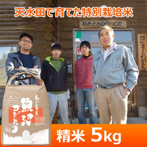 画像1: 令和７年産【Mt.ファームわかとち】わかとち産　特別栽培棚田米（精米）５kg (1)