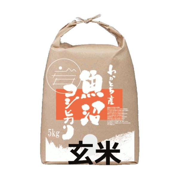 画像2: 令和7年産【Mt.ファームわかとち】わかとち産 特別栽培棚田米(玄米)5kg (2)