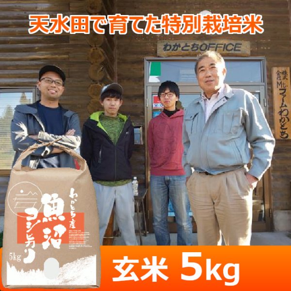 画像1: 令和７年産【Mt.ファームわかとち】わかとち産　特別栽培棚田米（玄米）５kg (1)