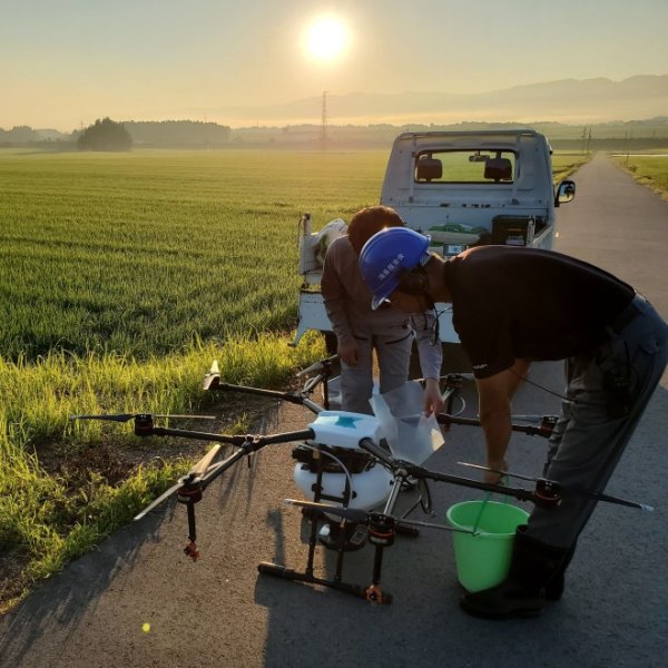 画像4: 令和７年産【山口松兵衛農園】松兵衛のコシヒカリ従来品種（精米）真空パック300g (4)