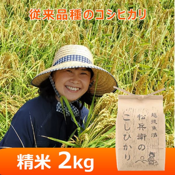 画像1: 令和７年産【山口松兵衛農園】松兵衛のコシヒカリ従来品種（精米）２kg (1)