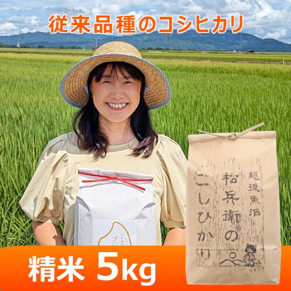 画像1: 令和８年産【山口松兵衛農園】松兵衛のコシヒカリ従来品種（精米）５kg (1)